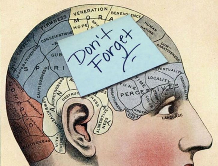 5 Memory Skills That Can Make You Smarter