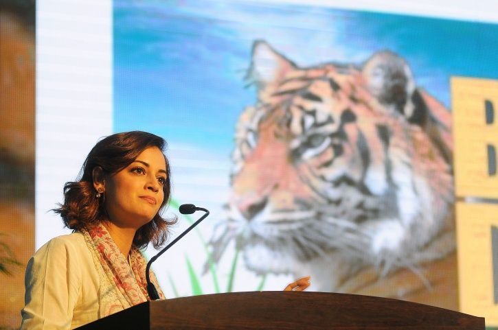 After Adopting Two Leopard Cubs In 2010, Dia Mirza Now Has A Baby Dia Mirza Planet Bollywood Media Tribe Rima Mishra tanya Mishra