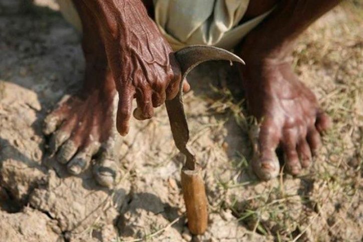 Farmers Commit Suicides