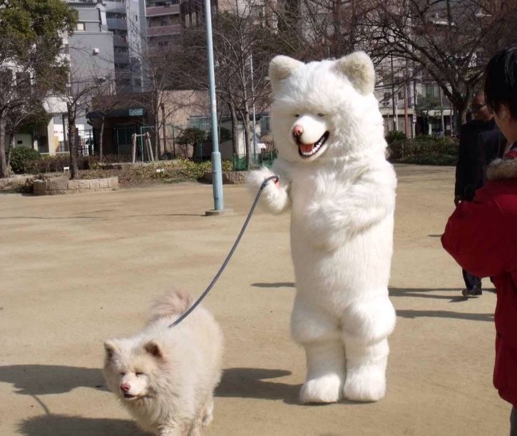 just-11-photos-that-prove-why-japan-feeds-our-weird-side-and-why-we-re