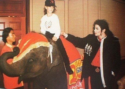 Michael Jackson's Neverland Ranch Elephant Sneakily Moonwalked Out Of His  Enclosure In Florida