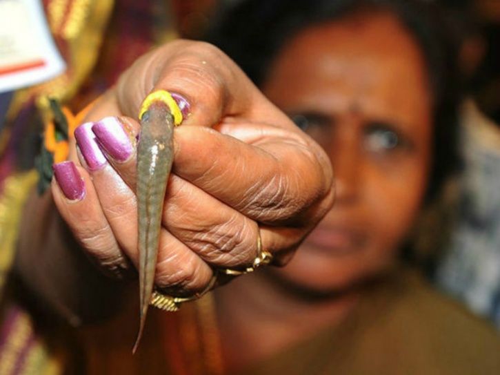Is ‘Fish Prasadam’ A Legitimate Medicine Or Superstition?