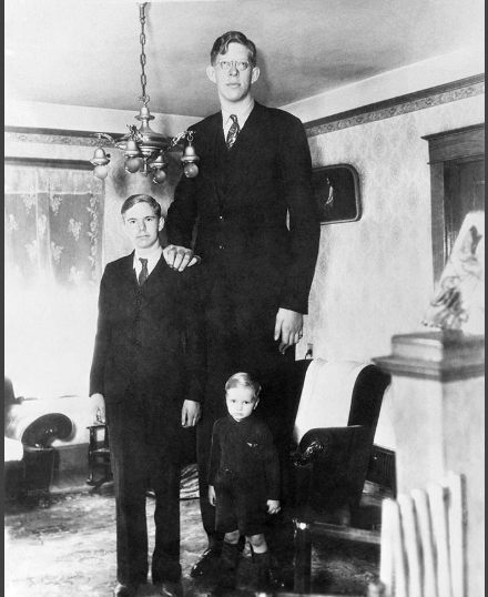 10 Amazing Facts About Robert Wadlow, The World's Tallest Man That You ...