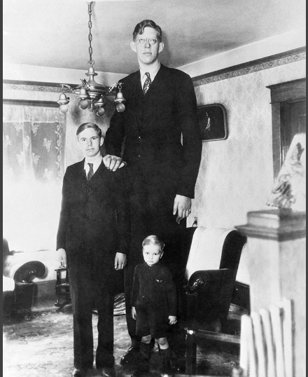 Tallest