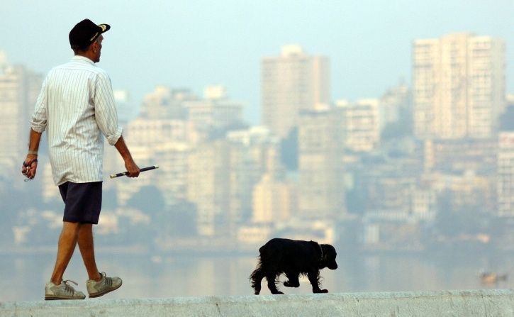 Letting Your Dog Poop In The Open Could Cost You Rs 500