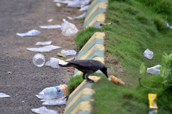 Maharashtra To Ban Plastic