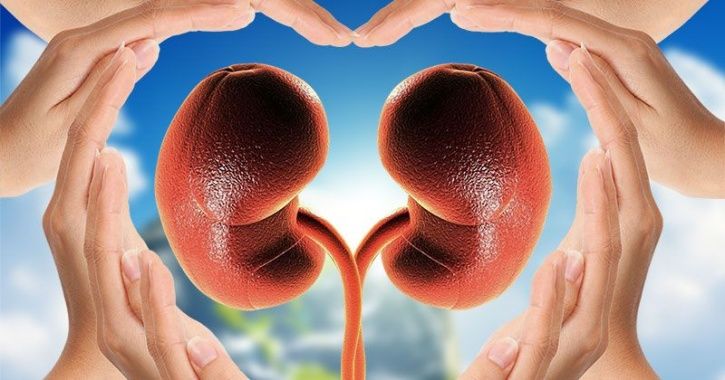 World Kidney Day: What You Need To Know About Kidney Disease And How You Can Prevent It