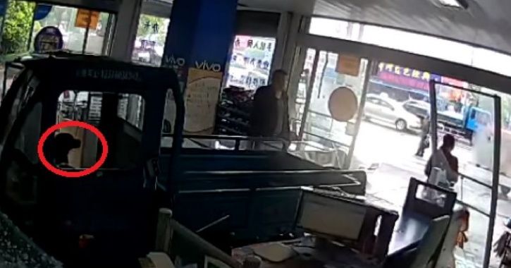 Dog Decides To Go On A Joyride, Gets On Three-Wheeled Truck & Crashes Into A Shop In China