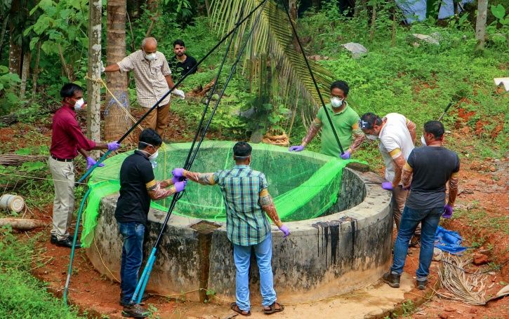 Fruit Bats Did Not Spread The Nipah Virus In Kerala