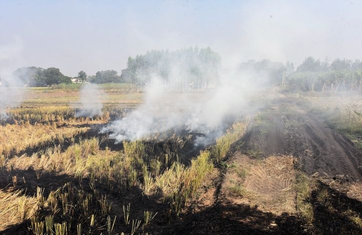 NASA Blames Stubble Burning In Punjab & Haryana For Rise In PM2.5 ...