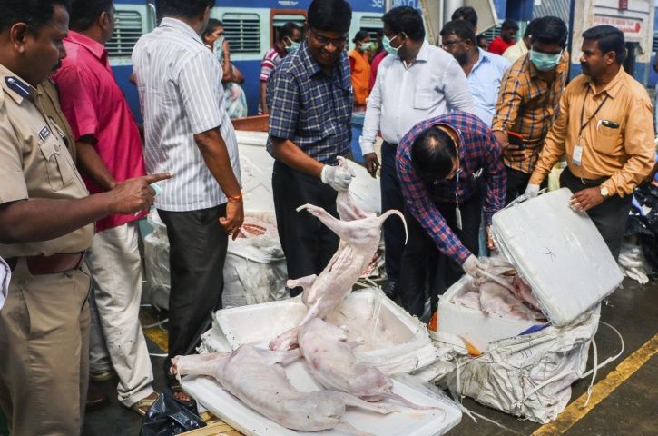 Dogs mutton sale