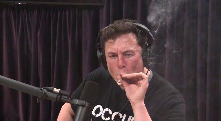 Elon Musk weed