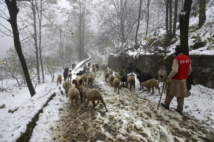 Jammu and Kashmir, snowfall, 700 people, landslide, anantnag, rajouri, Banihal