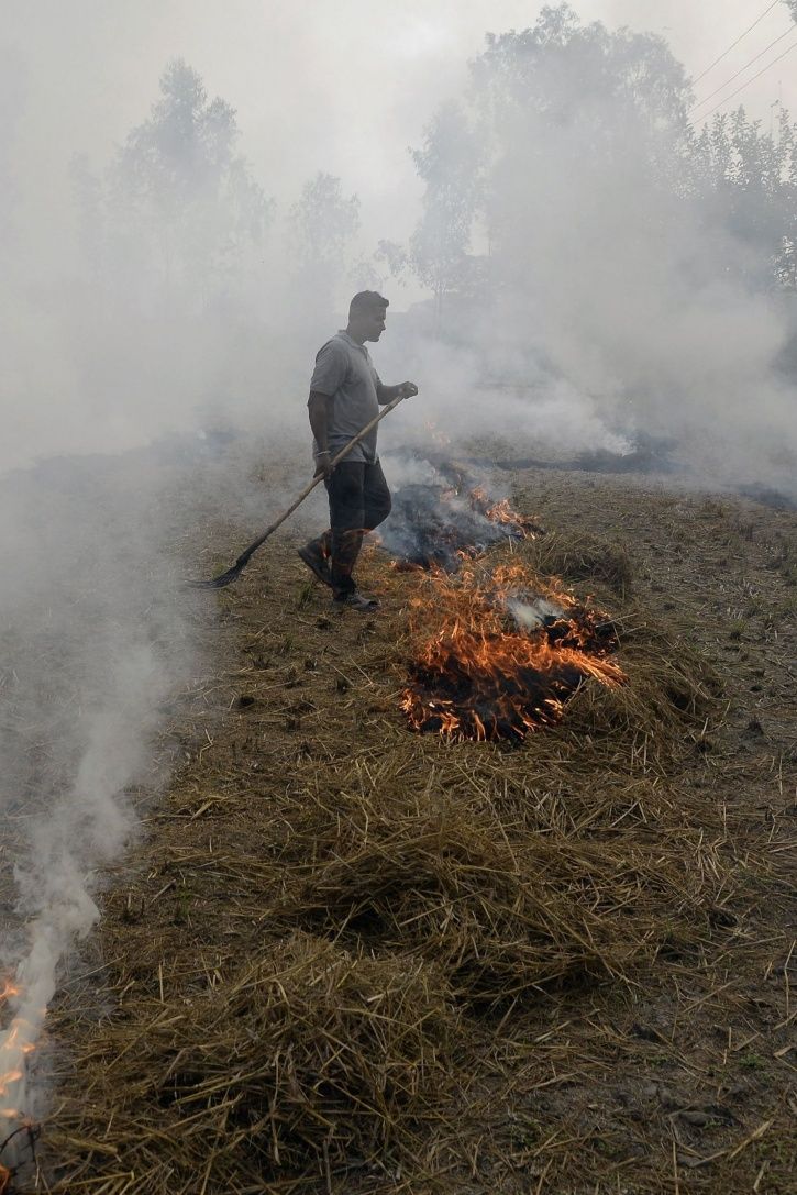 IKEA Has A Solution To Curb Air Pollution, Is Planning To Make