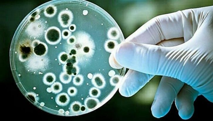 Antibiotic Resistant Superbugs Are Killing More Than 7,00,000 People Every Year