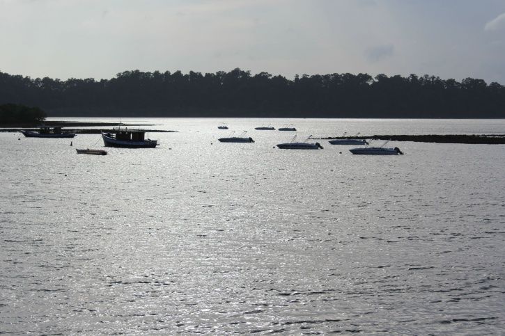 This Is How People In Andaman Nicobar Islands Live With Horrible 2g Network Irregular Wi Fi Gimpses from the 'beating the retreat' ceremony held today in port blair.