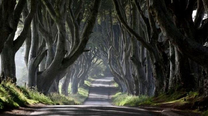 ‘Game Of Thrones’ To Soon Become Tourist Attraction, Now You Step Inside The World Of Ice & Fire