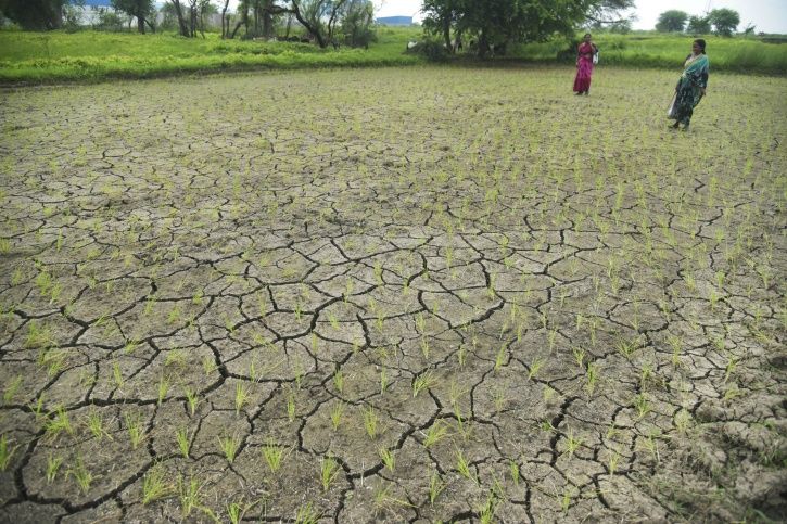 UP Government To Carry Out Artificial Rainfall In Drought-Hit Areas To ...