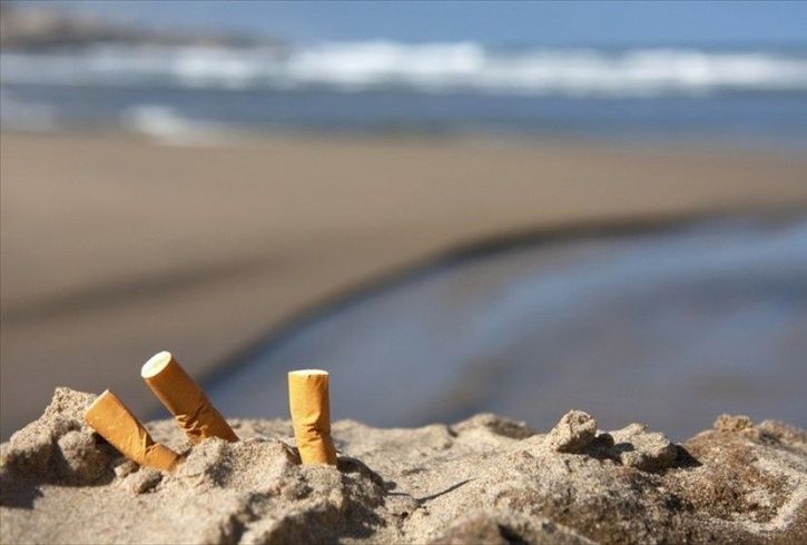 Since Cigarette Butts, Not Plastic Straws, Are The Worst Contaminant of Oceans 