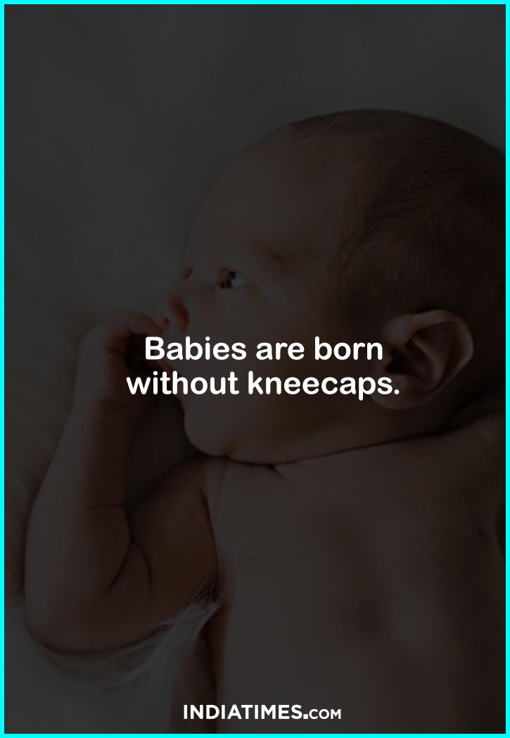 15 Facts About Babies That Prove They're Surprising Creatures
