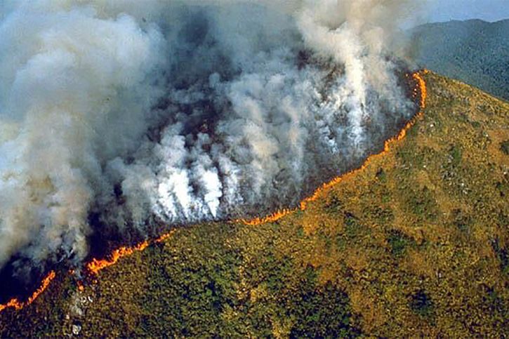 Amazon Forest Fire