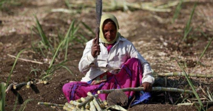 Cane Cutting Women In Beed, Womb-Less Women In Maharshtra Village, Cane Cutting Contractors, Hystere