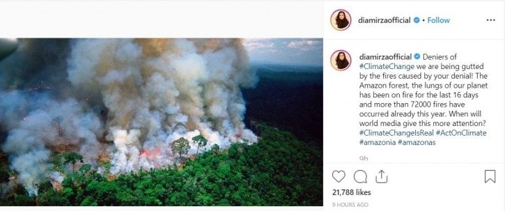 Dia Mirza on Amazon rainforest fire.