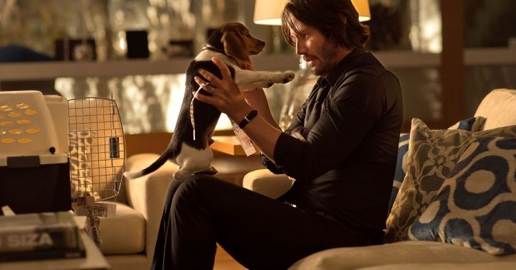 How Was John Wick’s Life Before His Wife & Dog Were Killed? John Wick Prequel Series To Tell It All.