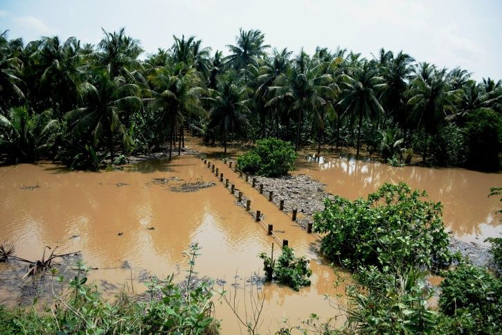 Kerala Floods, Maharashtra Floods, Karnataka Floods, Tamil Nadu Floods 