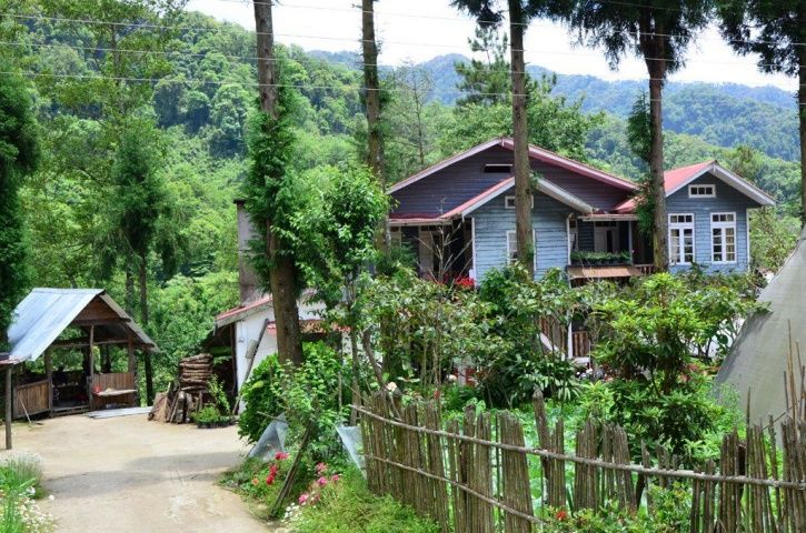 khonoma, Nagaland, Green