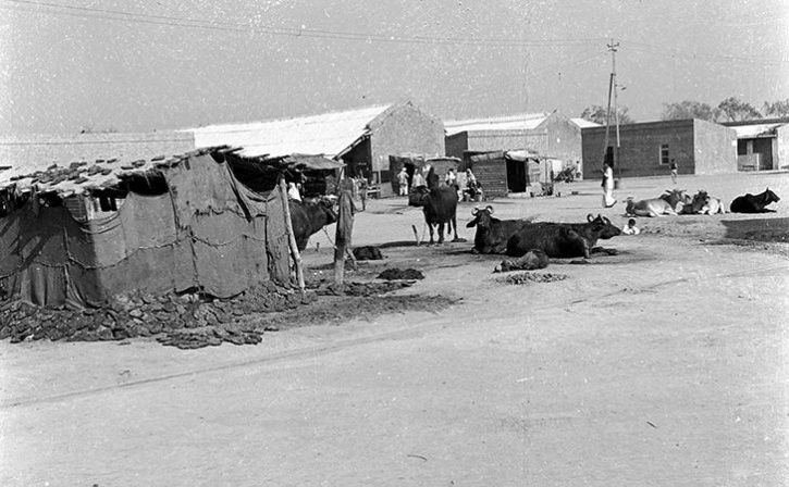 27 Painful Pictures Of Partition Which Killed A Million People And ...