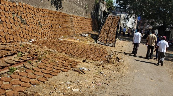 cow dung, Karnataka, Birur, Rs 1.25 lakh, theft, animal husbandry, police