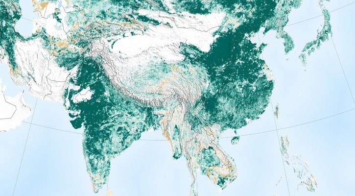 India China greenery