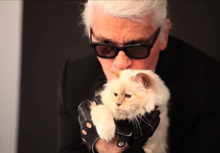 Karl Lagerfeld's cat Choupette isn't a party animal, Karl Lagerfeld