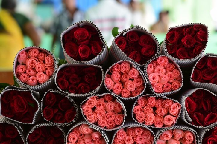Rose production, revenue, valentine