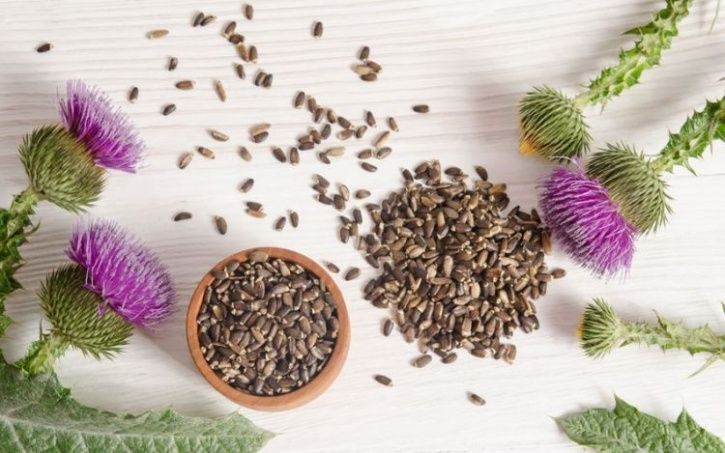 The Most Powerful Herbs That Can Improve Your Digestion