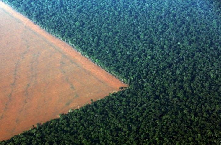 Amazon Rainforest Deforestation