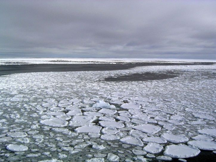 Antarctica Lost Ice By An Area Four Times Greater Than France In A Few Years, Now At Record Low