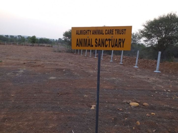 Here S How An 18 Yo Animal Activist Is Building One Of The Biggest Animal Shelters In Chennai