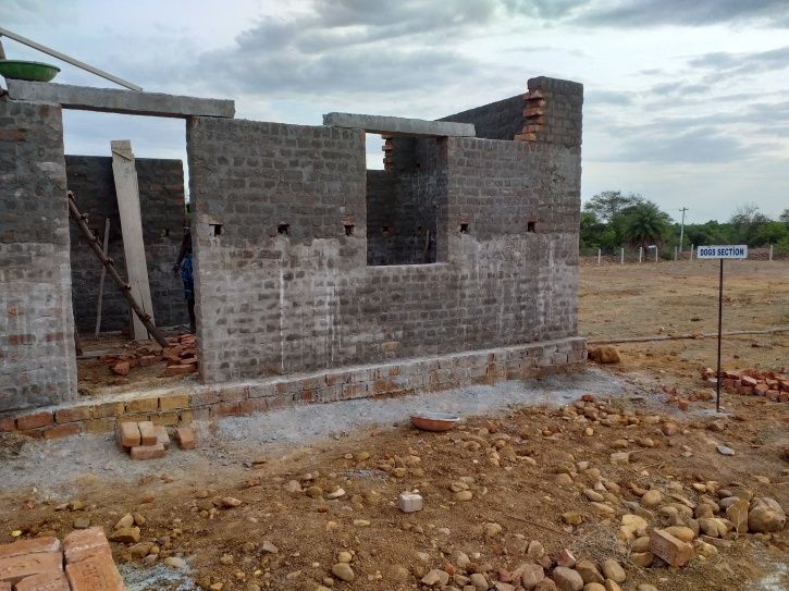 Here's How An 18YO Animal Activist Is Building One Of The Biggest