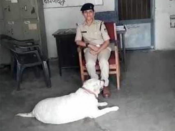 dog in police station