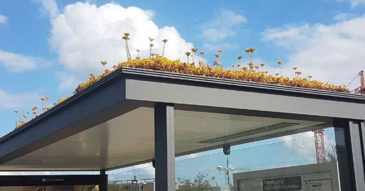 Green roof tops of bus stops.