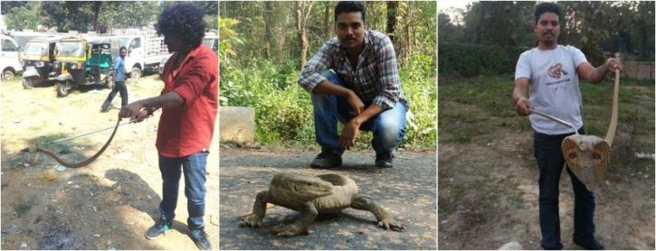 How Odisha Prepared And Saved Its Wildlife In The Aftermath Of Disastrous Cyclone Fani