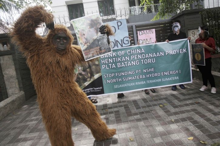 an activist in an orangutan suit stands on a roadside during a protest against the construction of 