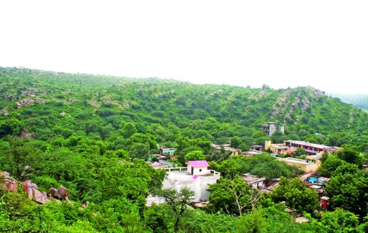 Aravali Forest 