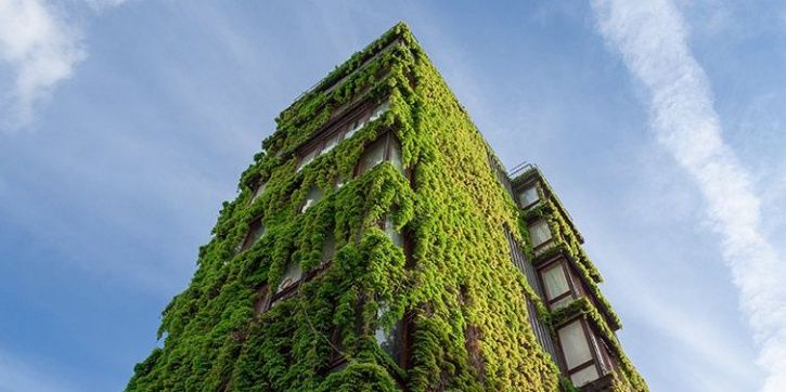 As India Moves Towards Eco-Friendly Structures, Only 4% Buildings In The Country Are ‘Green’
