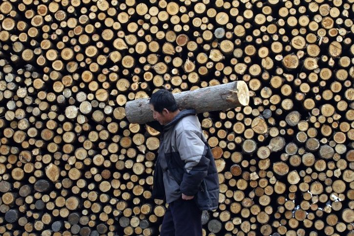 deforestation China