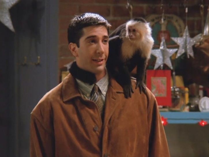 Sorry FRIENDS Fans, Ross Wasn’t Fond Of Marcel The Monkey, Says Matt LeBlanc AKA Joey