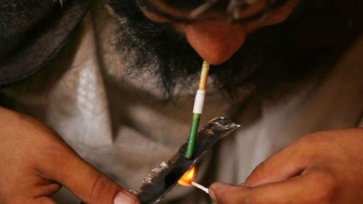 Amid Addiction Issues, Sitting MPs And Farmers Demand Legalising Opium Cultivation In Punjab