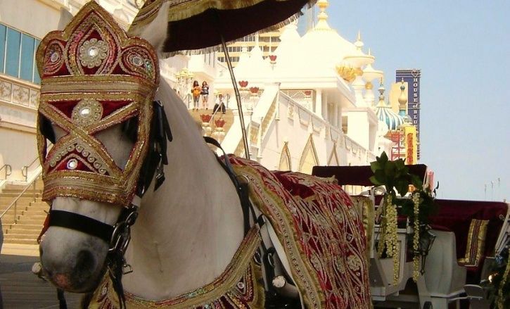 Horse Used In Dalit Wedding Dies After Stone Pelting During Marriage Procession In Gujarat